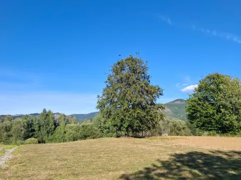 Prodaja, plac, 500m², Kolašin, Crna Gora - image 2