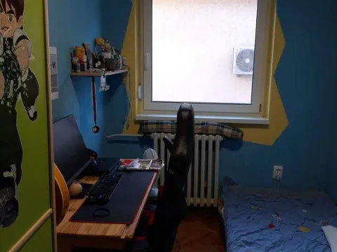 Prodaja, kuća, 250m², Sremska Kamenica, Petrovaradin - image 6