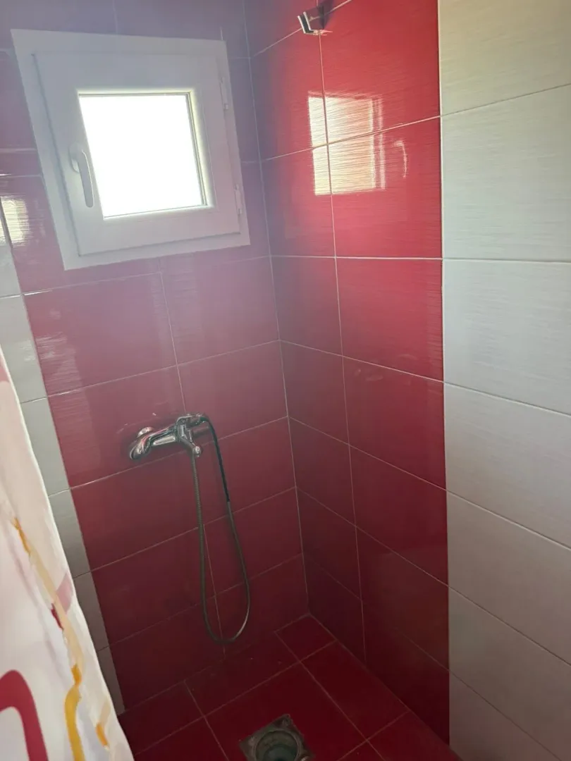 Bathroom with a shower cabin lined with red and white tiles.