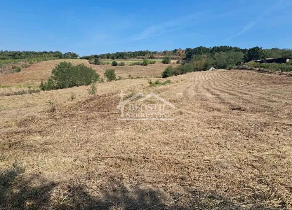 Prodaja, plac, Vrčin, Grocka