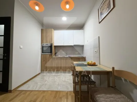 Izdavanje, jednosoban stan, 43m², Ljubović, Podgorica - image 3