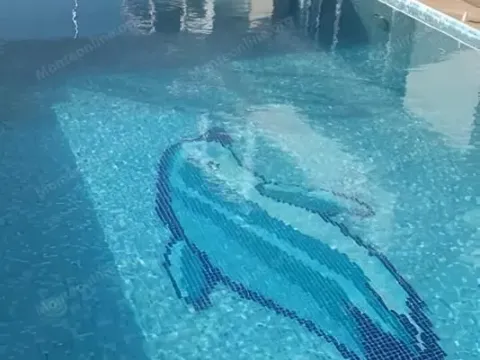 Prodaja, kuća, 358m², Dobre Vode, Bar - image 3