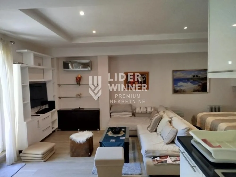 Izdavanje, jednosoban stan, 50m², Savski Venac, Beograd