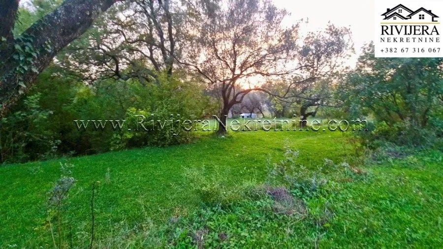 Prodaja, plac, 2171m², Kavač, Kotor