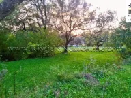 Prodaja, plac, 2171m², Kavač, Kotor - image 4