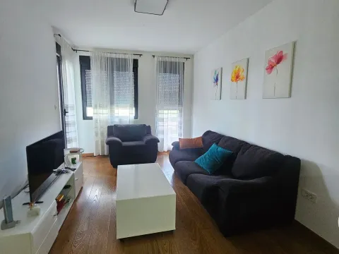 Izdavanje, stan, 45m², Tološka šuma, Podgorica