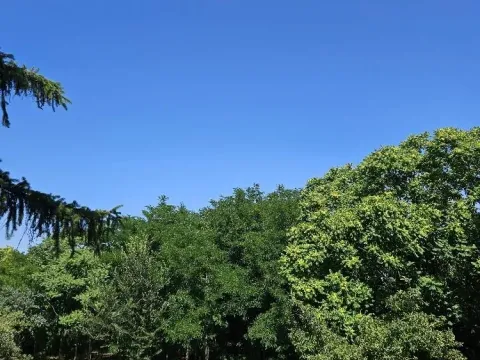 Sale, land lot, 5000m², Stari Slankamen, Inđija - image 6