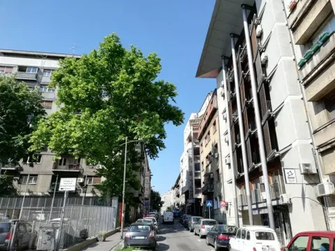 Sale, three bedroom apartment, 85m², Kalenić Pijaca, Vračar Sve Podlokacije