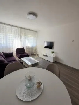 Rent, two bedroom apartment, 42m², Novi Beograd Blok 4, Novi Beograd Sve Podlokacije - image 4
