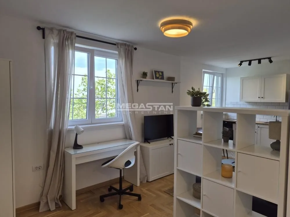 Rent, one bedroom apartment, 30m², Vračar Sve Podlokacije, Beograd
