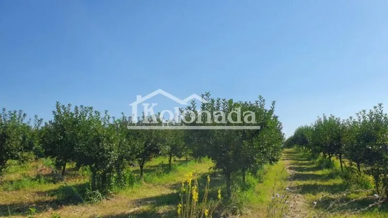 Sale, land lot, 13400m², Djurinci, Sopot