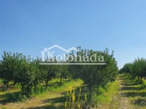 Sale, land lot, 13400m², Djurinci, Sopot - image 4