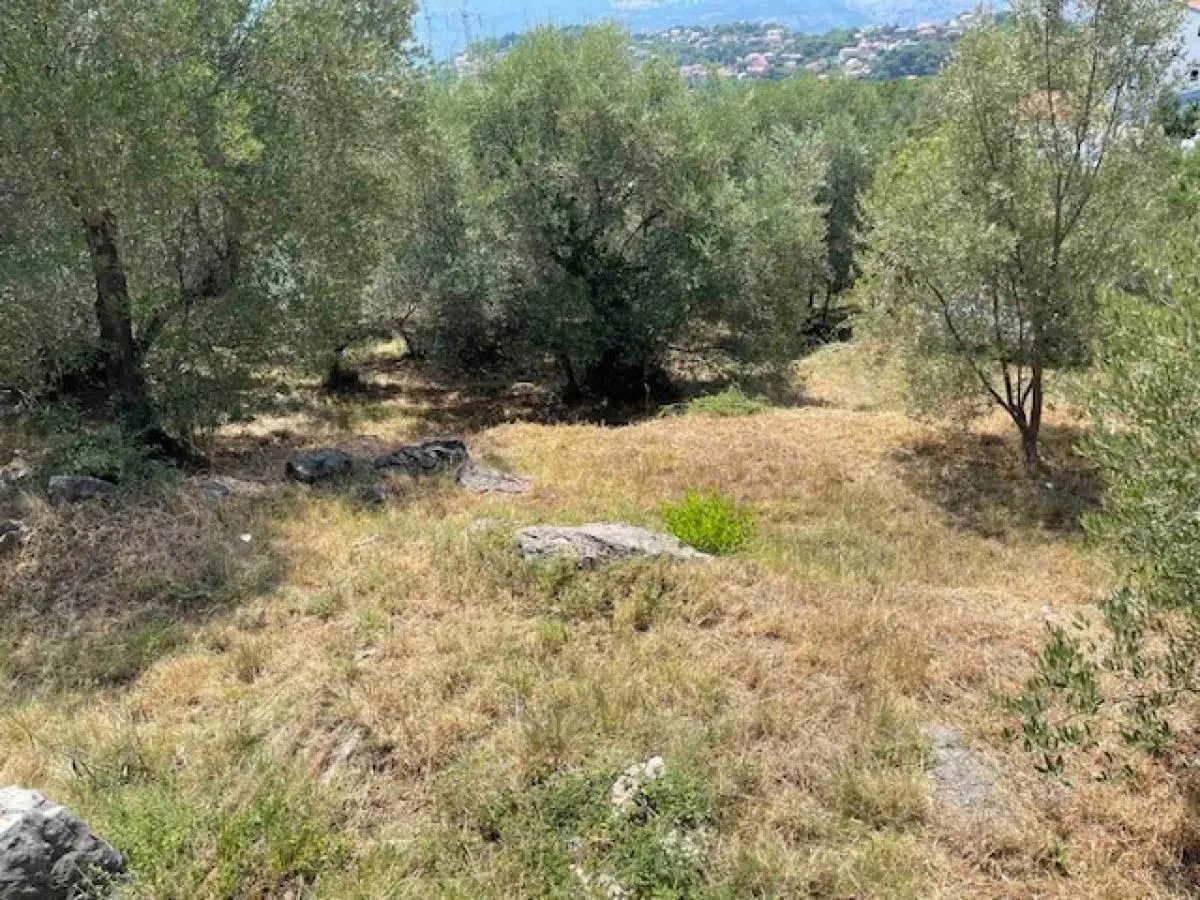 Prodaja, plac, 2100m², Podi, Herceg Novi