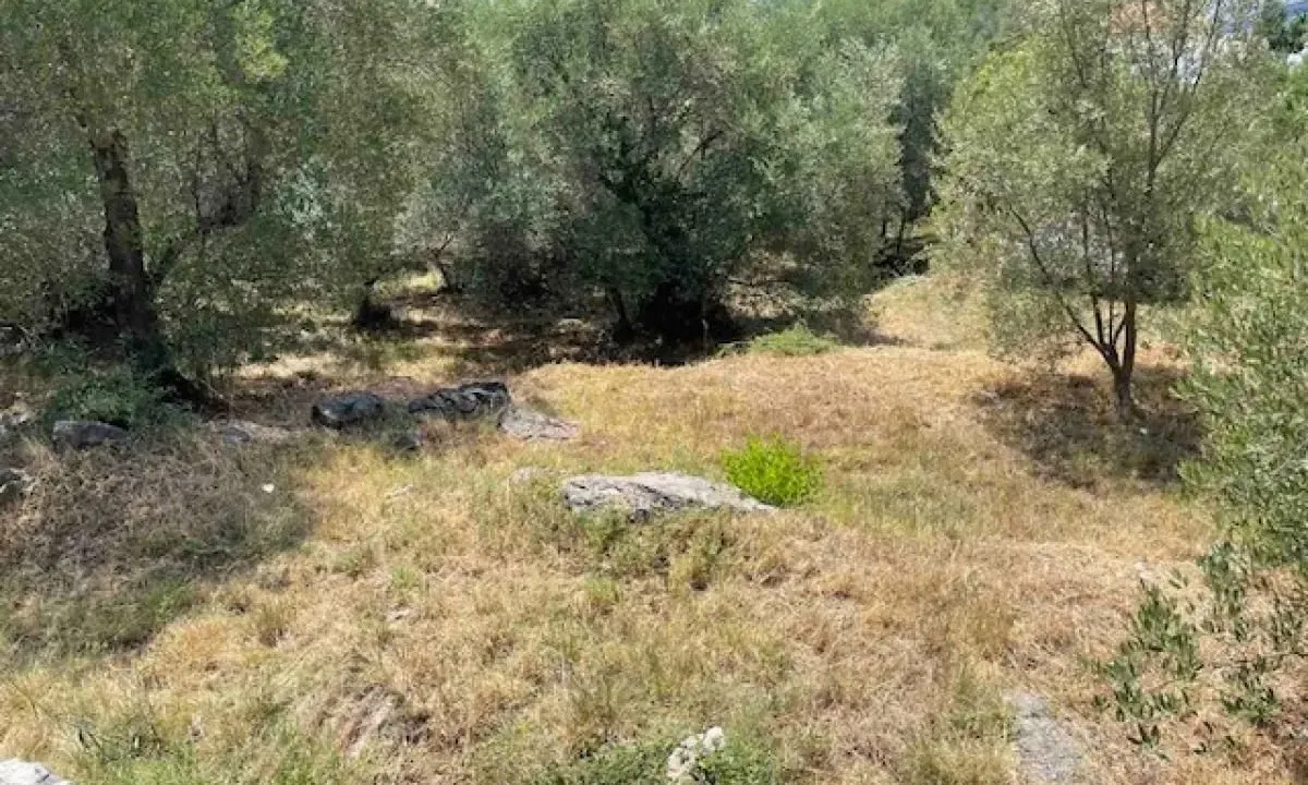 Prodaja, plac, 2100m², Podi, Herceg Novi