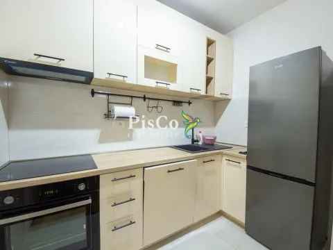 Prodaja, jednosoban stan, 49m², Central Point, Podgorica - image 8