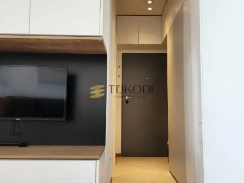 Rent, one bedroom apartment, 35m², Kluz, Zvezdara Sve Podlokacije - image 11