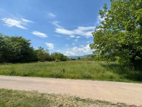 Prodaja, plac, 8384m², Kosić, Danilovgrad - image 5