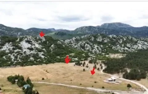 Prodaja, plac, 39020m², Grahovo, Nikšić - image 3