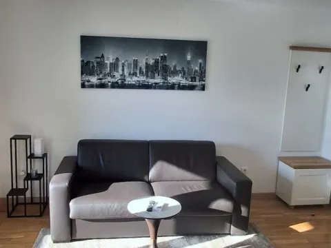 Daily-rent, one bedroom apartment, 36m², Centar, Podgorica - image 3