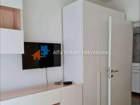 Izdavanje, dvosoban stan, 45m², Zvezdara Sve Podlokacije, Beograd - image 7