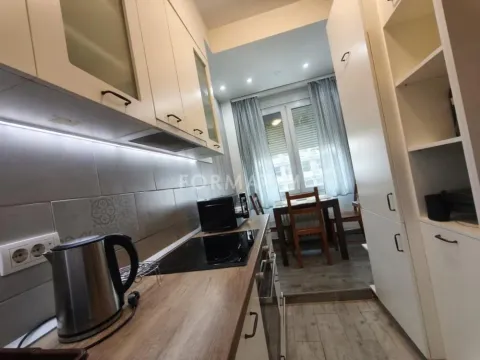 Izdavanje, dvosoban stan, 45m², Savski Venac, Beograd - image 6