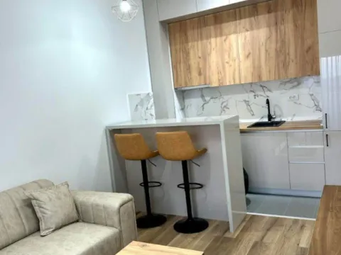 Prodaja, jednosoban stan, 34m², Zabjelo, Podgorica - image 10