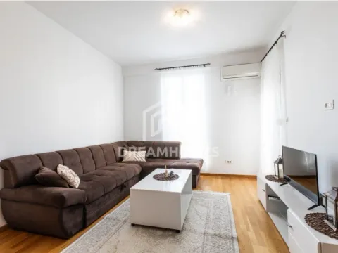 Izdavanje, jednosoban stan, 50m², Stari Aerodrom, Podgorica - image 1