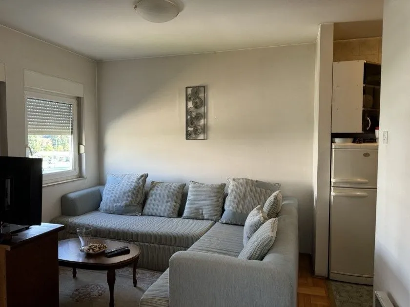 Rent, one bedroom apartment, 30m², Momišići, Podgorica