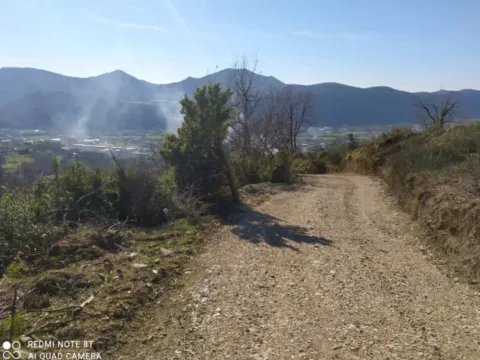 Prodaja, plac, 5000m², Bar, Crna Gora - image 4