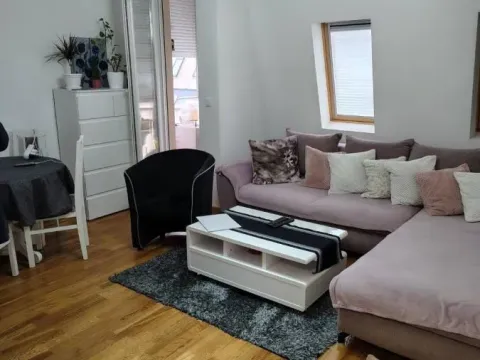 Rent, one bedroom apartment, 42m², Adice, Novi Sad Sve Podlokacije - image 5