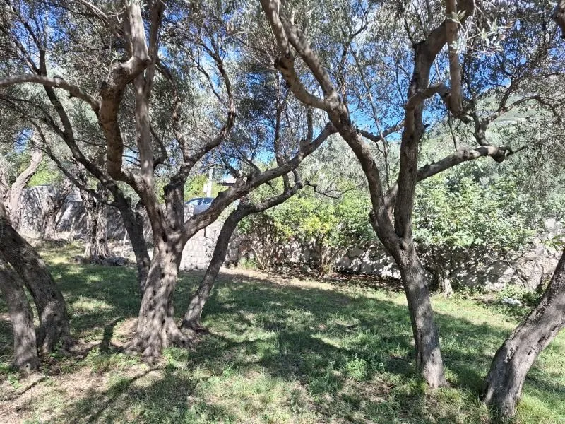 Prodaja, plac, 1150m², Bar, Crna Gora