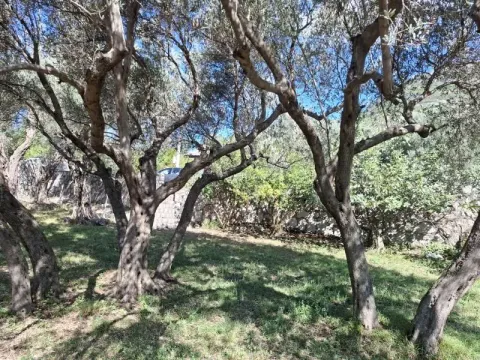 Prodaja, plac, 1150m², Bar, Crna Gora - image 1