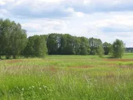 Sale, land lot, 500m², Novo Selo, Danilovgrad - image 2