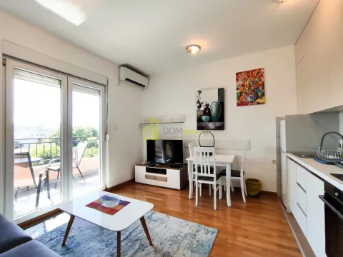 Rent, one bedroom apartment, 45m², Kod Big Fashion-a, Podgorica - image 5