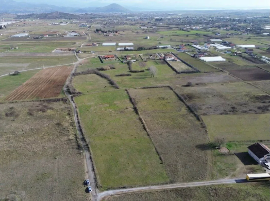Prodaja, plac, 6500m², Golubovci, Podgorica