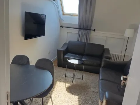 Izdavanje, jednosoban stan, 38m², Retenzija, Beograd - image 4