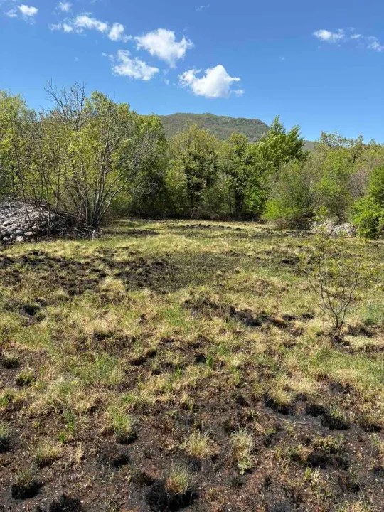 Sale, land lot, 276000m², Piperi, Podgorica