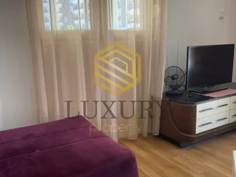 Rent, studio apartment, 30m², Zabjelo, Podgorica - image 2