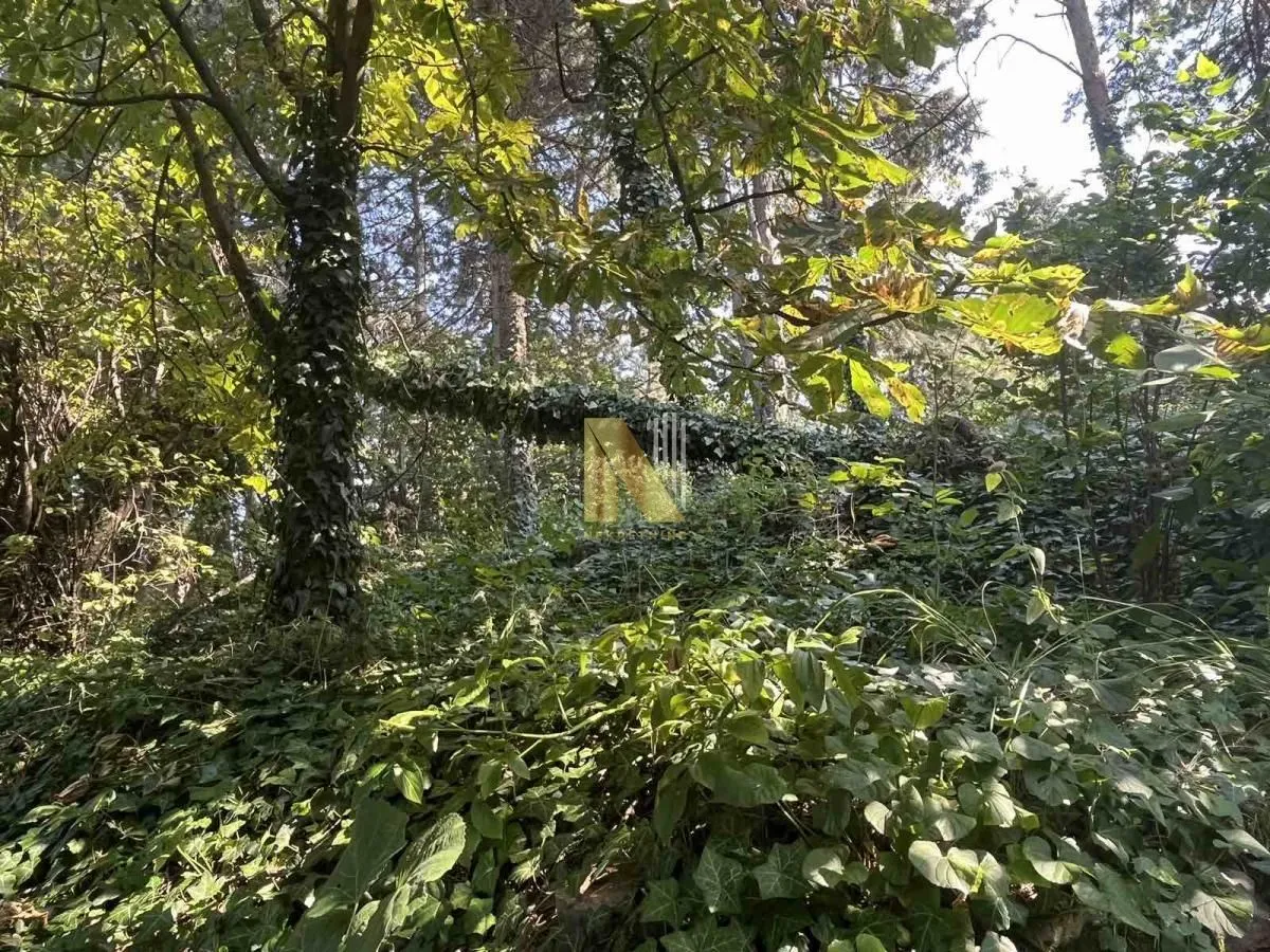 Prodaja, kuća, 71m², Rakovac, Novi Sad Sve Podlokacije