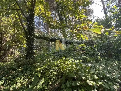 Prodaja, kuća, 71m², Rakovac, Novi Sad Sve Podlokacije - image 11