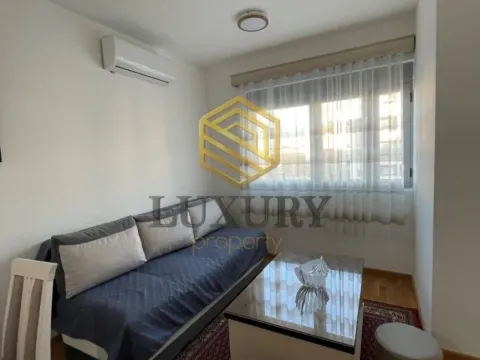 Izdavanje, jednosoban stan, 45m², Zabjelo, Podgorica - image 11