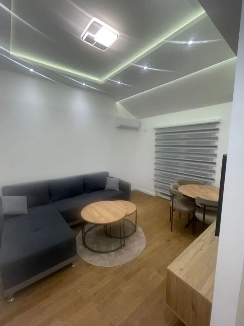 Rent, one bedroom apartment, 55m², Zagorič, Podgorica