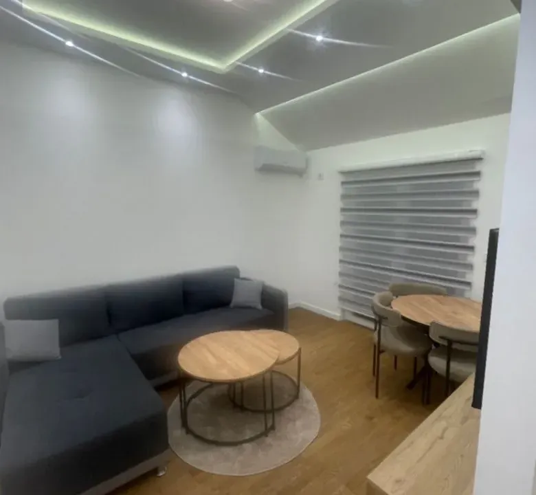 Izdavanje, jednosoban stan, 55m², Zagorič, Podgorica