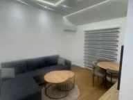 Izdavanje, jednosoban stan, 55m², Zagorič, Podgorica - image 1