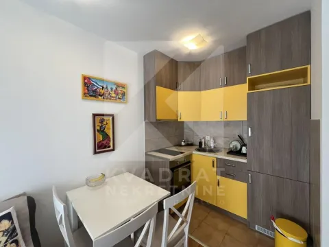 Rent, one bedroom apartment, 30m², Zabjelo, Podgorica - image 5