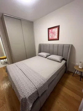 Izdavanje, jednosoban stan, 45m², Central Point, Podgorica - image 4