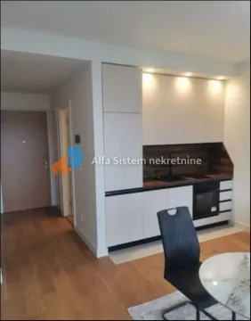 Izdavanje, jednosoban stan, 33m², Savski Venac, Beograd - image 4