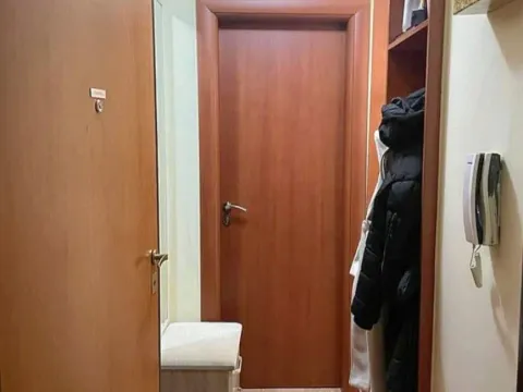 Izdavanje, jednosoban stan, 450m², 1 maj, Podgorica - image 4