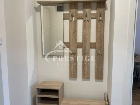 Izdavanje, jednosoban stan, 43m², Pobrežje, Podgorica - image 8