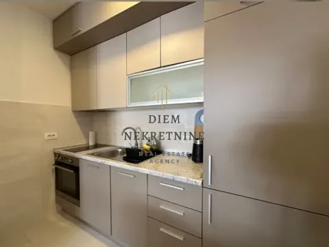 Rent, one bedroom apartment, 49m², Central Point, Podgorica - image 2